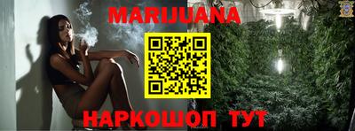 гашик Гай