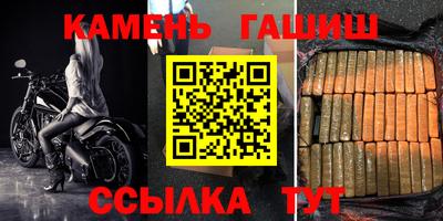 спиды Аргун