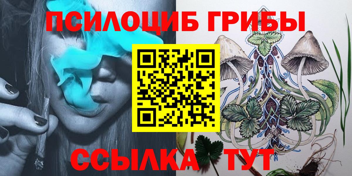 Новотроицк  Псилоцибиновые грибы мухоморы  Вход с VPN 
